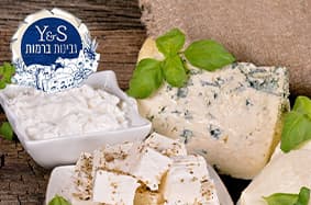 סדנה להכנת גבינה כפרית ליחיד בגבינות ברמות- רמות השבים